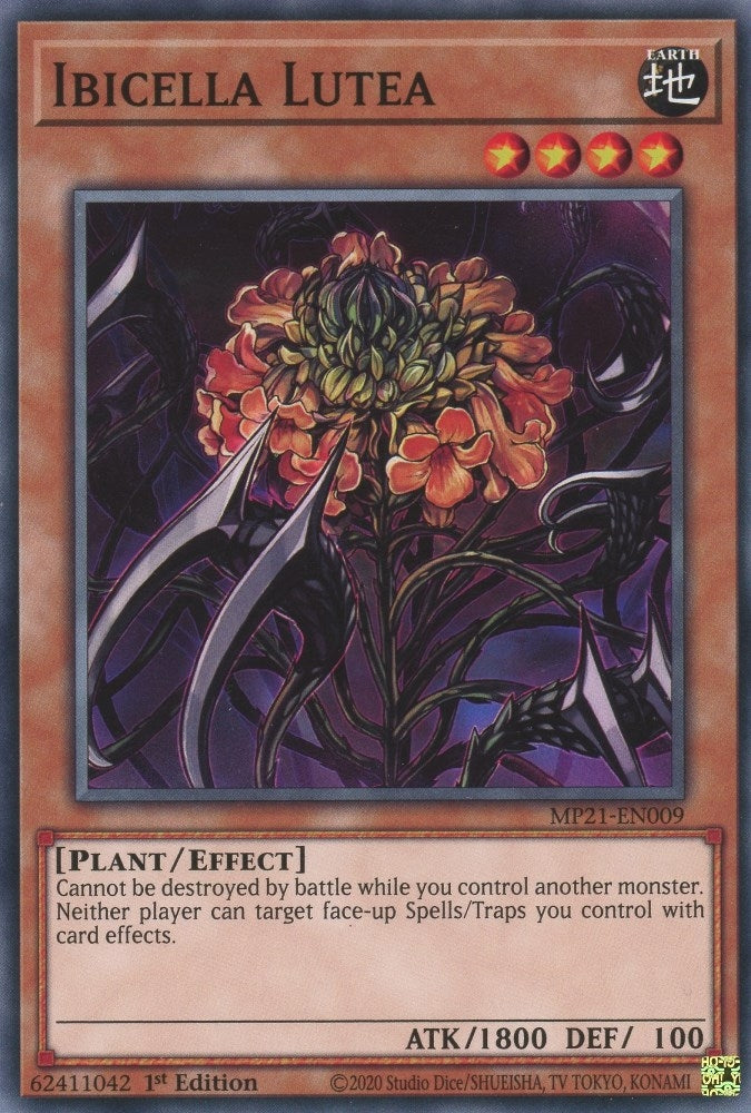 Image for Ibicella Lutea (21009) (MP21)