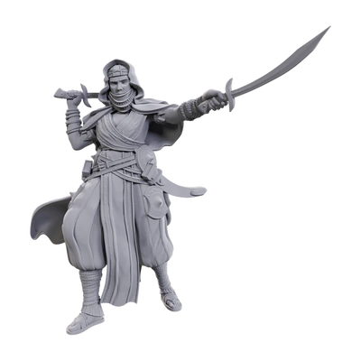 Pathfinder Battles Deep Cuts Miniatures: Desert Giant