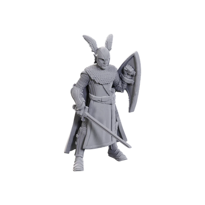 Limited edition Dungeons & Dragons miniature of an elf warrior with armor, shield, and sword, celebrating 50th anniversary.