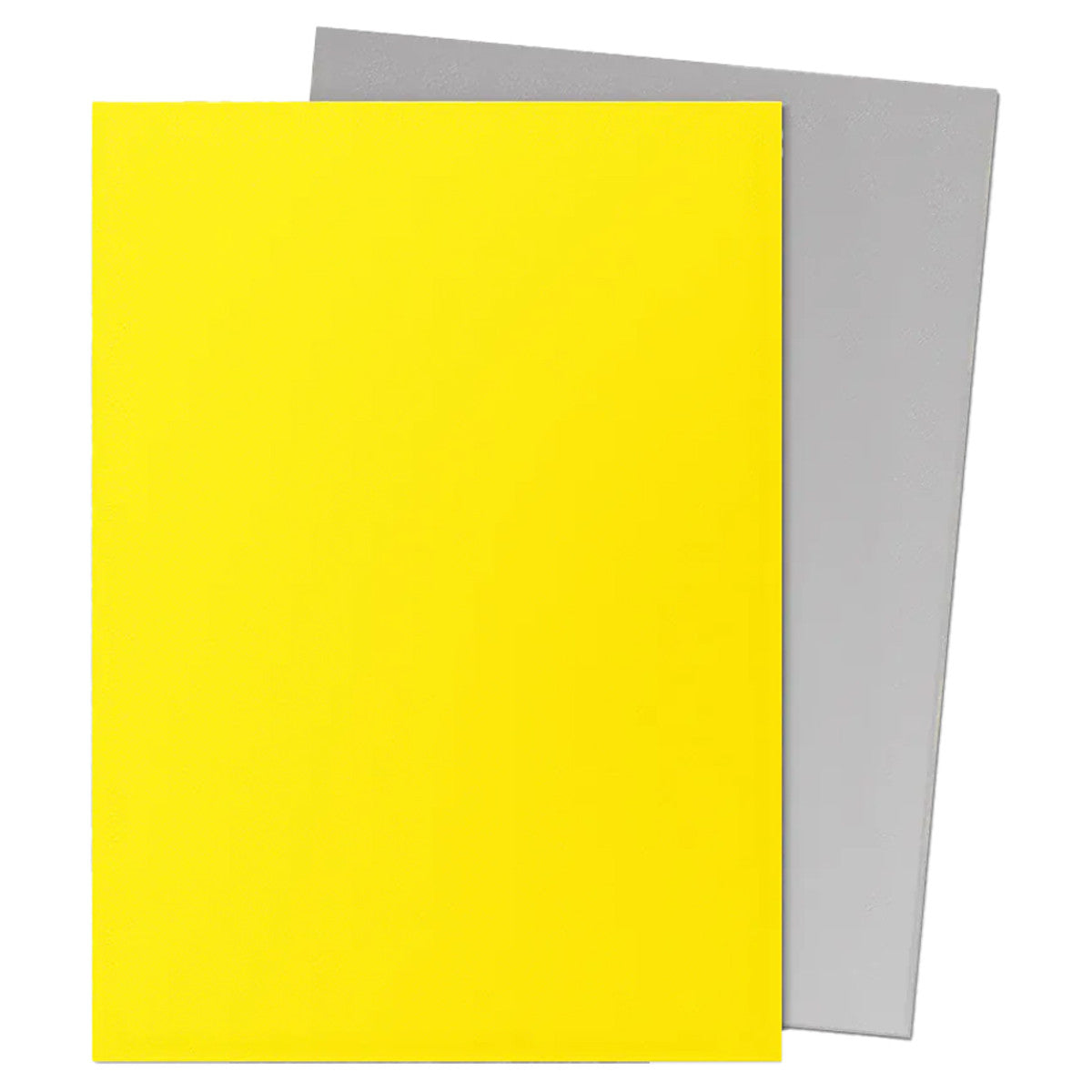 Dragon Shield: Dual Matte Sleeves - Yellow & Silver (100ct) (PREORDER)