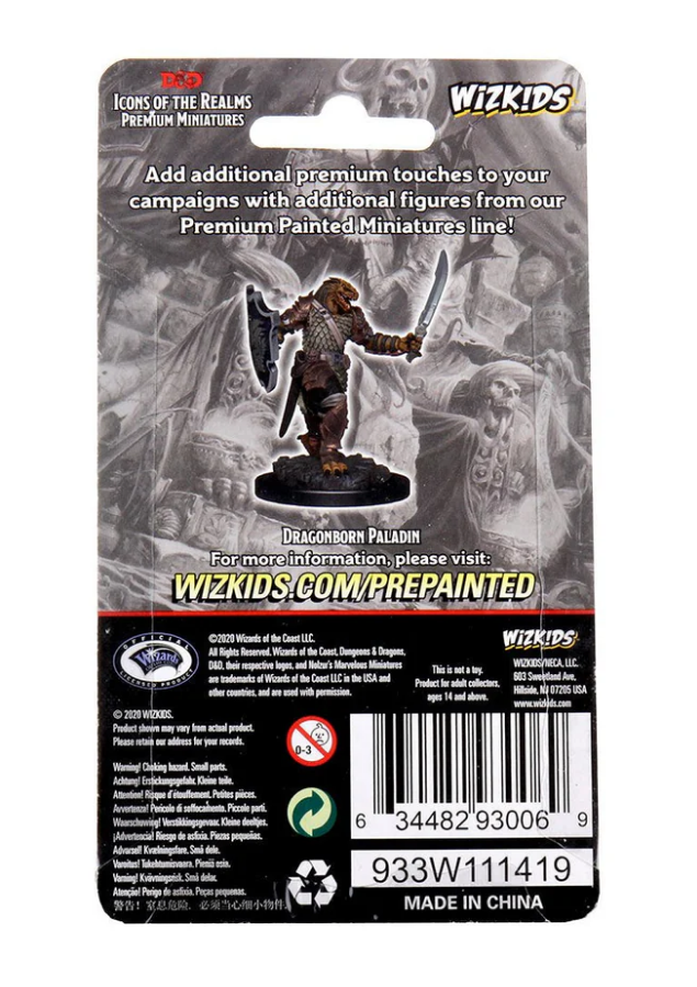 Back packaging of Dungeons & Dragons Dragonborn Female Paladin figure, showcasing details and product information.