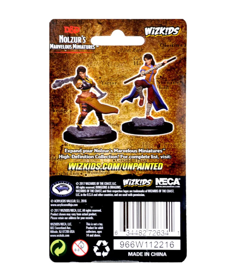 Unpainted miniatures of a human female monk from Dungeons & Dragons, featuring two dynamic poses on a backing card.