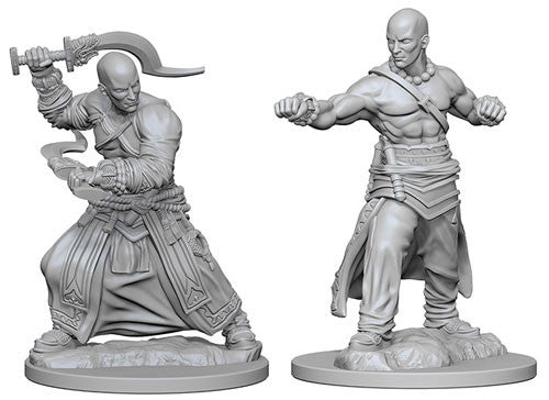 Pathfinder Deep Cuts Unpainted Miniatures: W01 Human Male Monk
