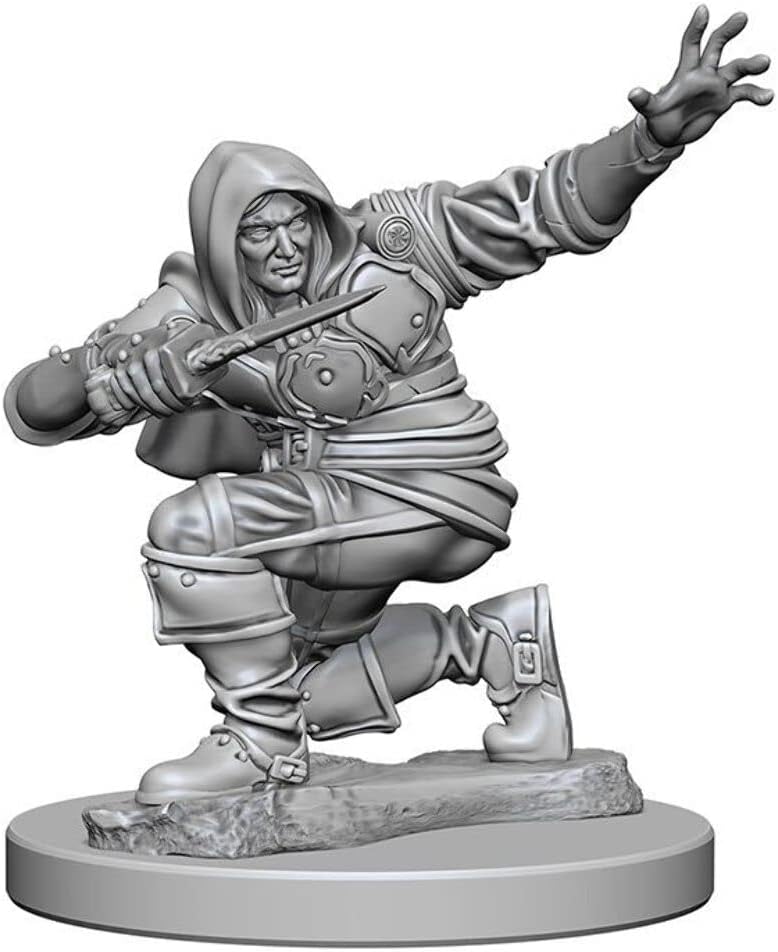 Pathfinder Deep Cuts Unpainted Miniatures: W01 Human Male Rogue