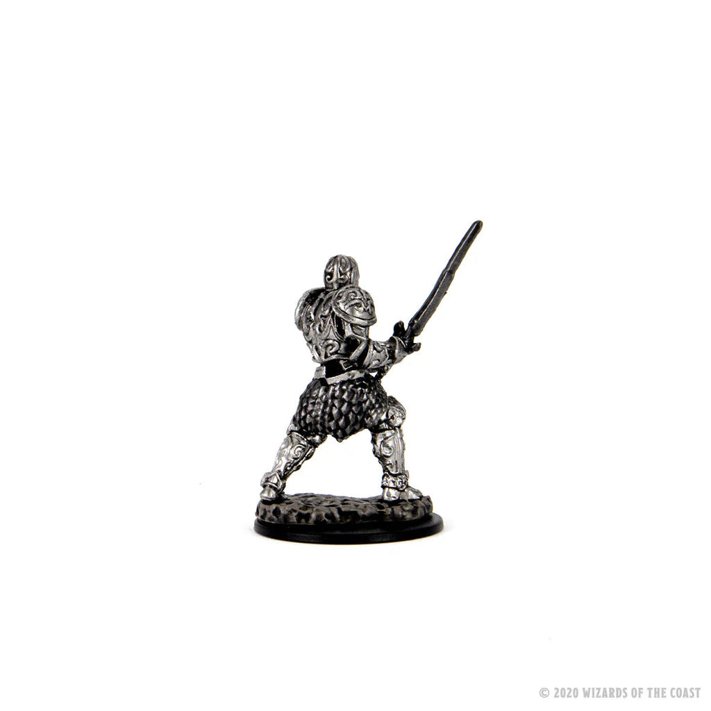 Premium Dungeons & Dragons miniature of a human male fighter, detailed armor, and sword, viewed from the back.
