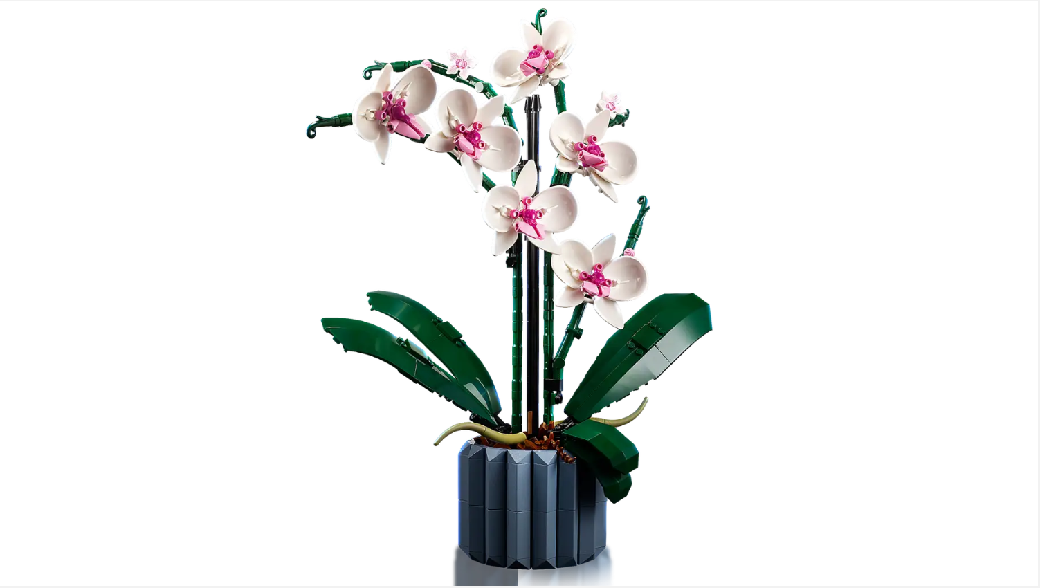 LEGO Orchid set 10311 featuring a detailed flower arrangement with white and pink orchids in a decorative pot.