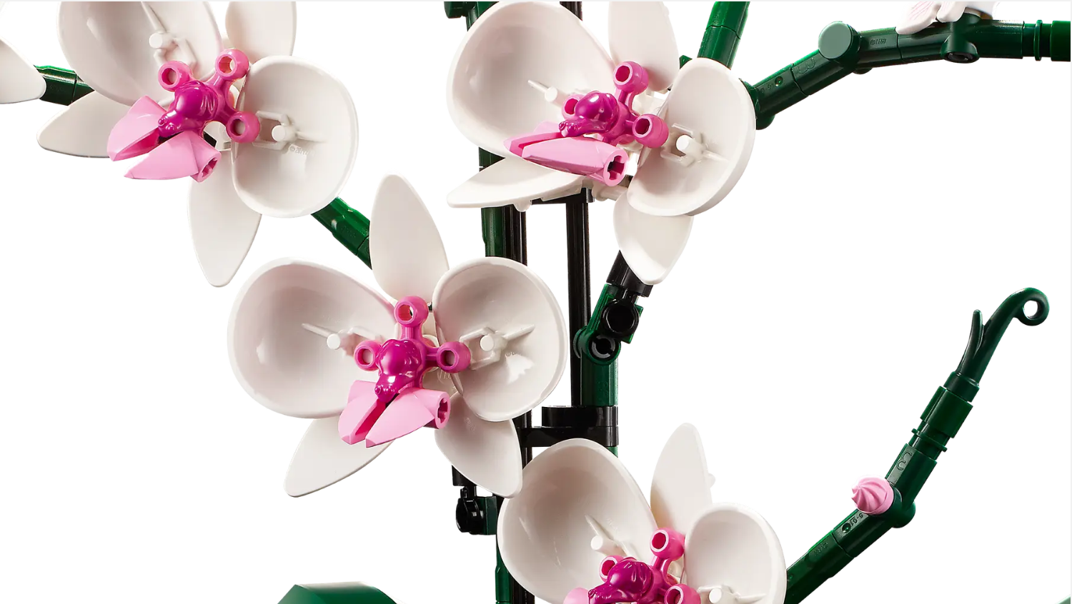 LEGO Orchid (10311) features intricately designed white and pink flowers on a green stem, showcasing realistic details.