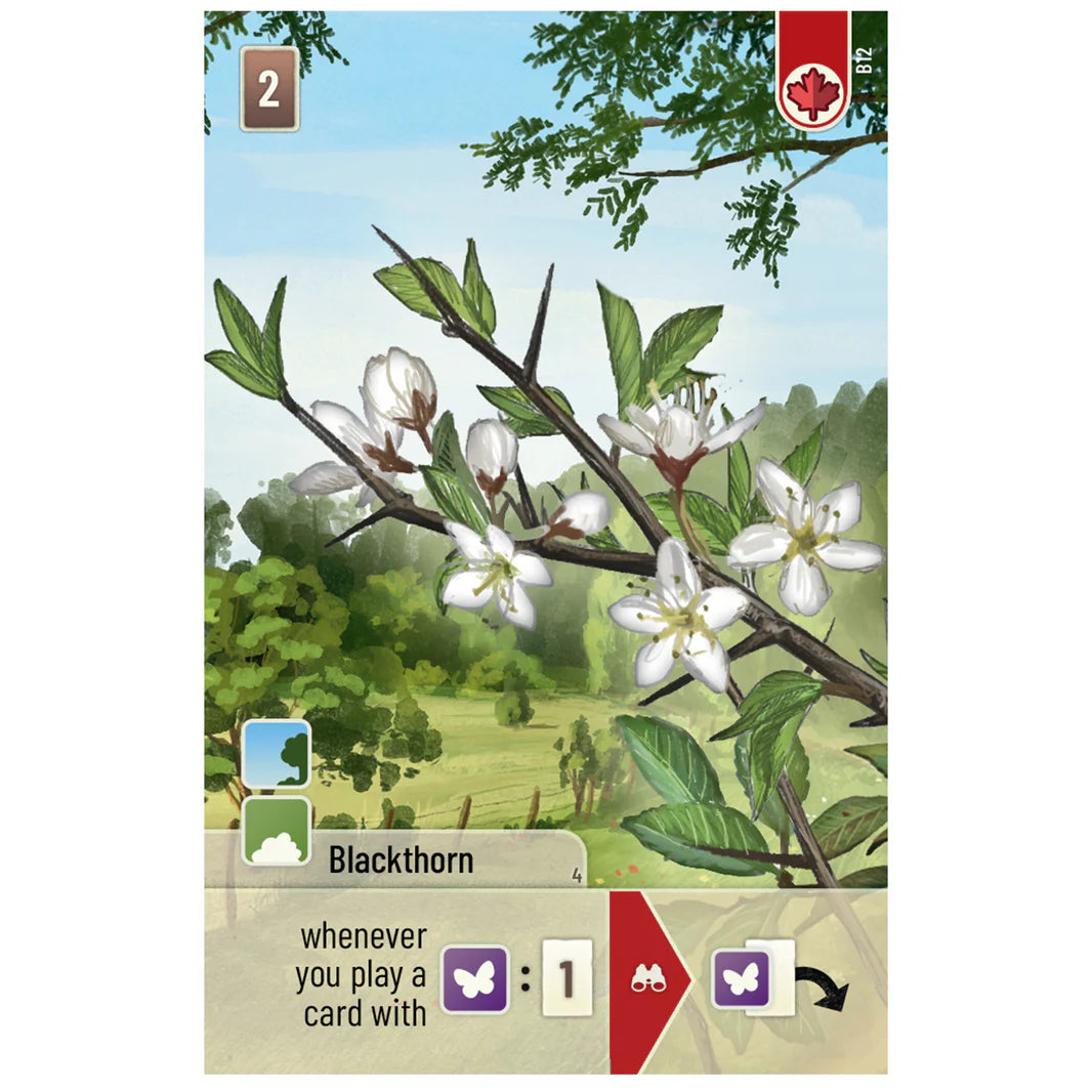 Forest Shuffle Woodland Edge Expansion card featuring Blackthorn flowers and gameplay instructions for card play.