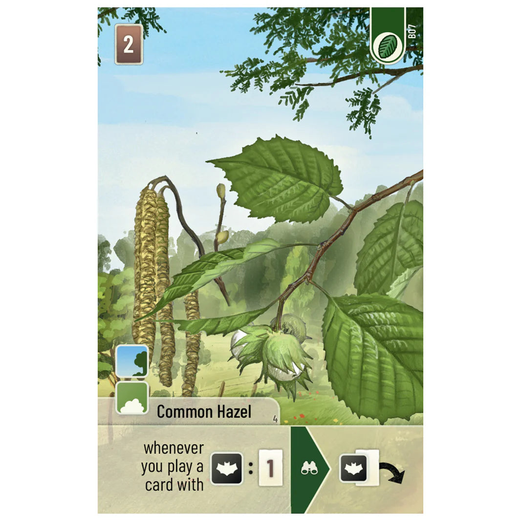 Forest Shuffle Woodland Edge Expansion card featuring Common Hazel with gameplay instructions and a nature background.