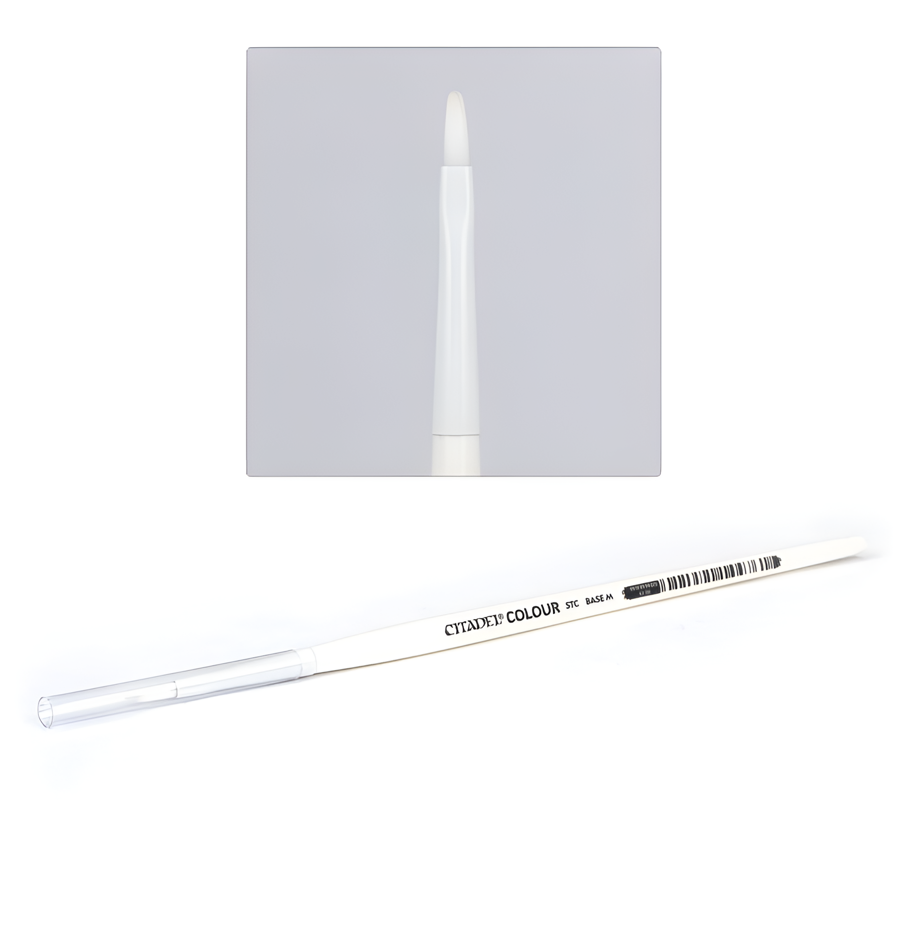 Medium synthetic base brush from Citadel Tools, featuring a tapered white bristle head and a clear handle for precision painting.