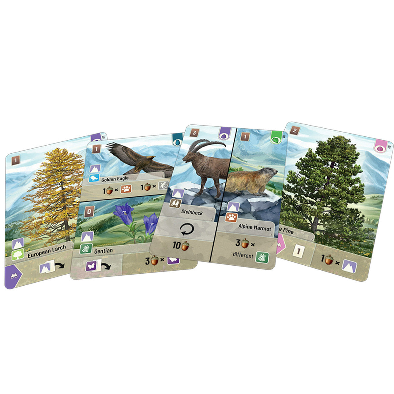 Alpine Expansion for Forest Shuffle featuring cards with illustrations of wildlife and plants in a mountainous landscape.