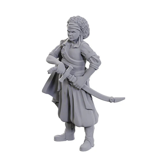 Ansalon Human Rogue miniature from Dungeons & Dragons Nolzur's Marvelous Miniatures, featuring detailed clothing and weaponry.