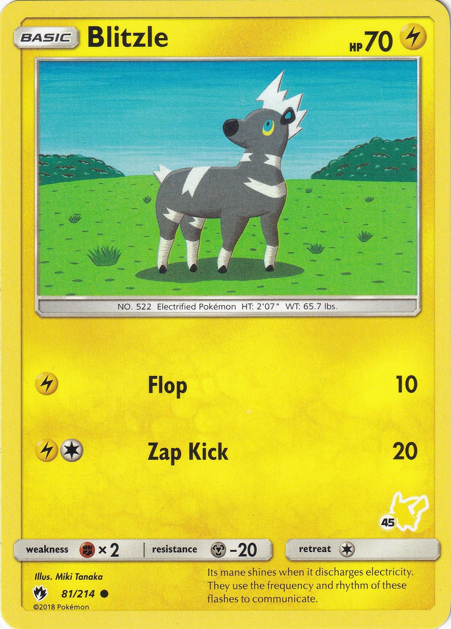 Image for Blitzle - 81/214 (#45 Pikachu Stamped) (81) (BTA)