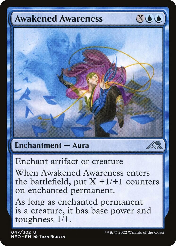 Image for Awakened Awareness (47) (NEO)