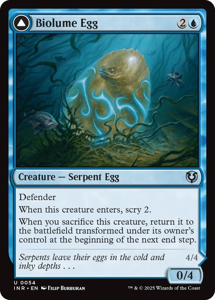Image for Biolume Egg (54) (INR)