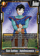 Son Gohan : Adolescence - ST01-045 (Dragon Ball Pattern)