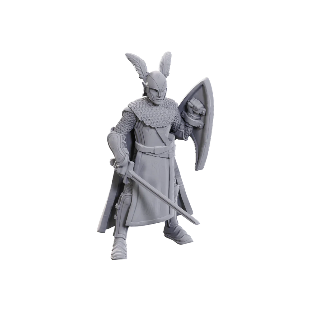 Limited edition Dungeons & Dragons miniature of an elf warrior with armor, shield, and sword, celebrating 50th anniversary.