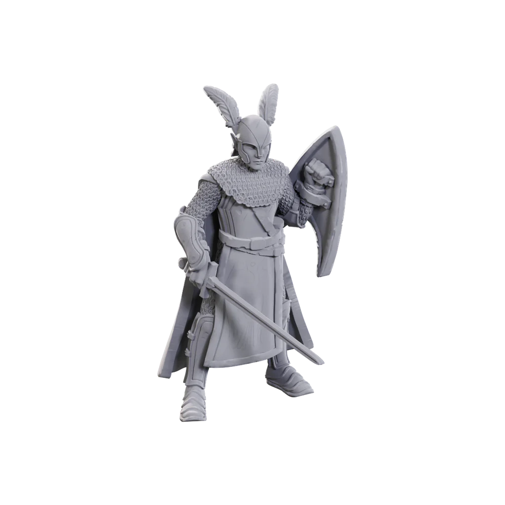 Limited edition Dungeons & Dragons miniature of an elf warrior with armor, shield, and sword, celebrating 50th anniversary.