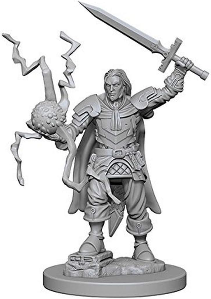 Pathfinder Deep Cuts Unpainted Miniatures: W01 Human Male Cleric