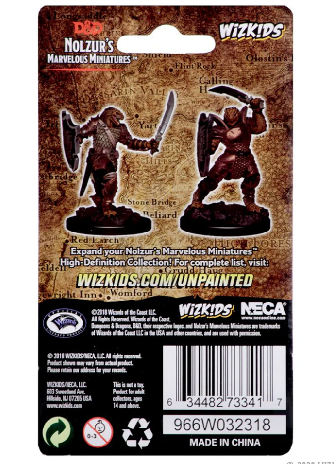 Unpainted miniatures of a Dragonborn female paladin wielding a sword and shield, designed for Dungeons & Dragons gameplay.