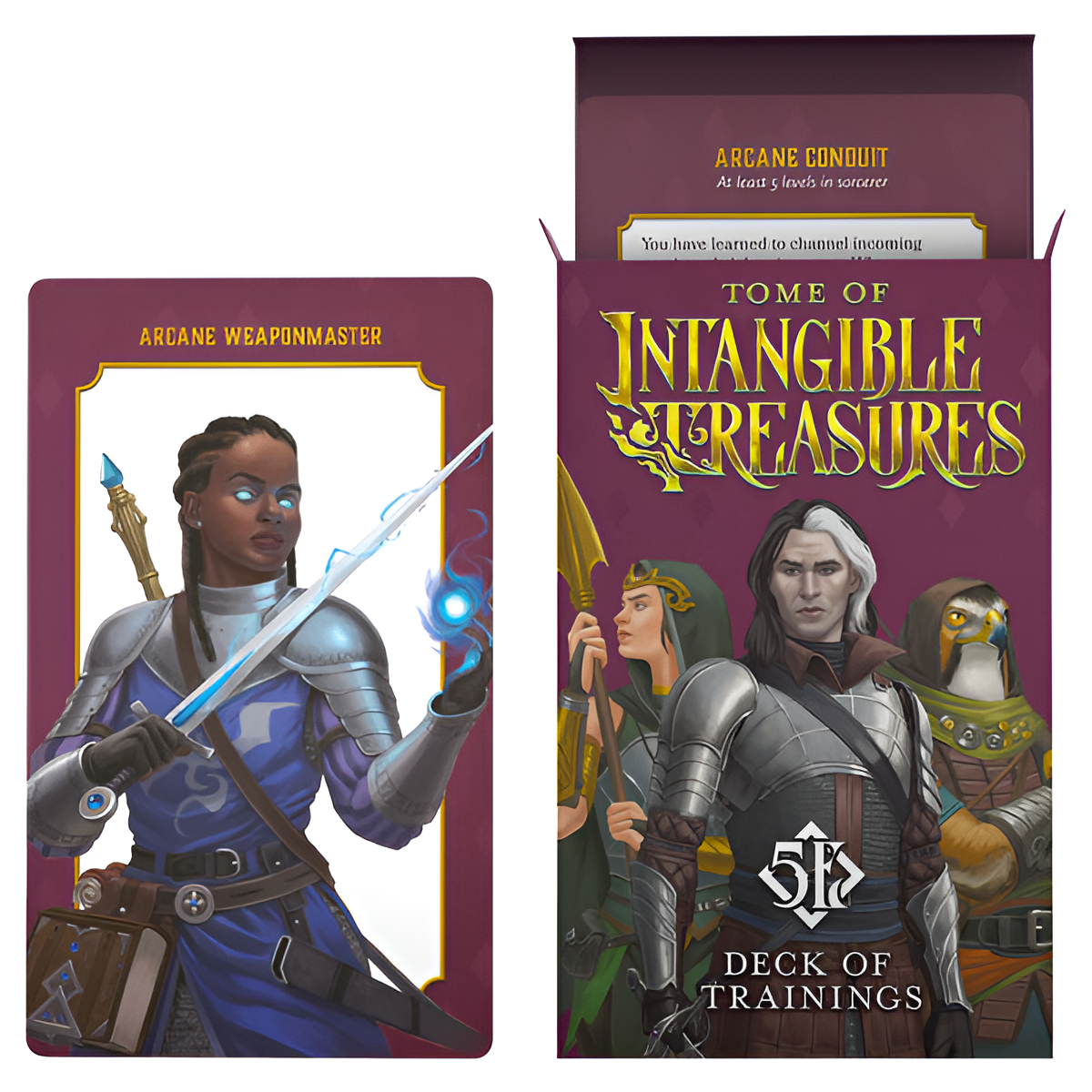 D&D 5E Deck of Trainings preorder box featuring artwork of a warrior and wizard with vibrant colors and fantasy elements.