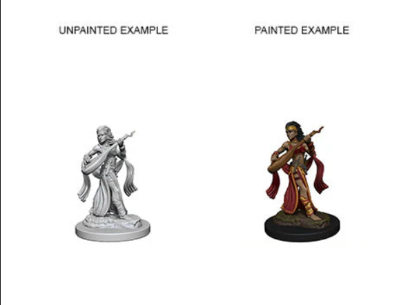 Pathfinder Deep Cuts Unpainted Miniatures: W04 Human Female Bard