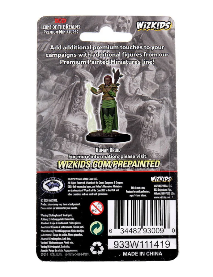 Premium painted miniature of a human female druid from Dungeons & Dragons, featuring detailed design and vibrant colors.