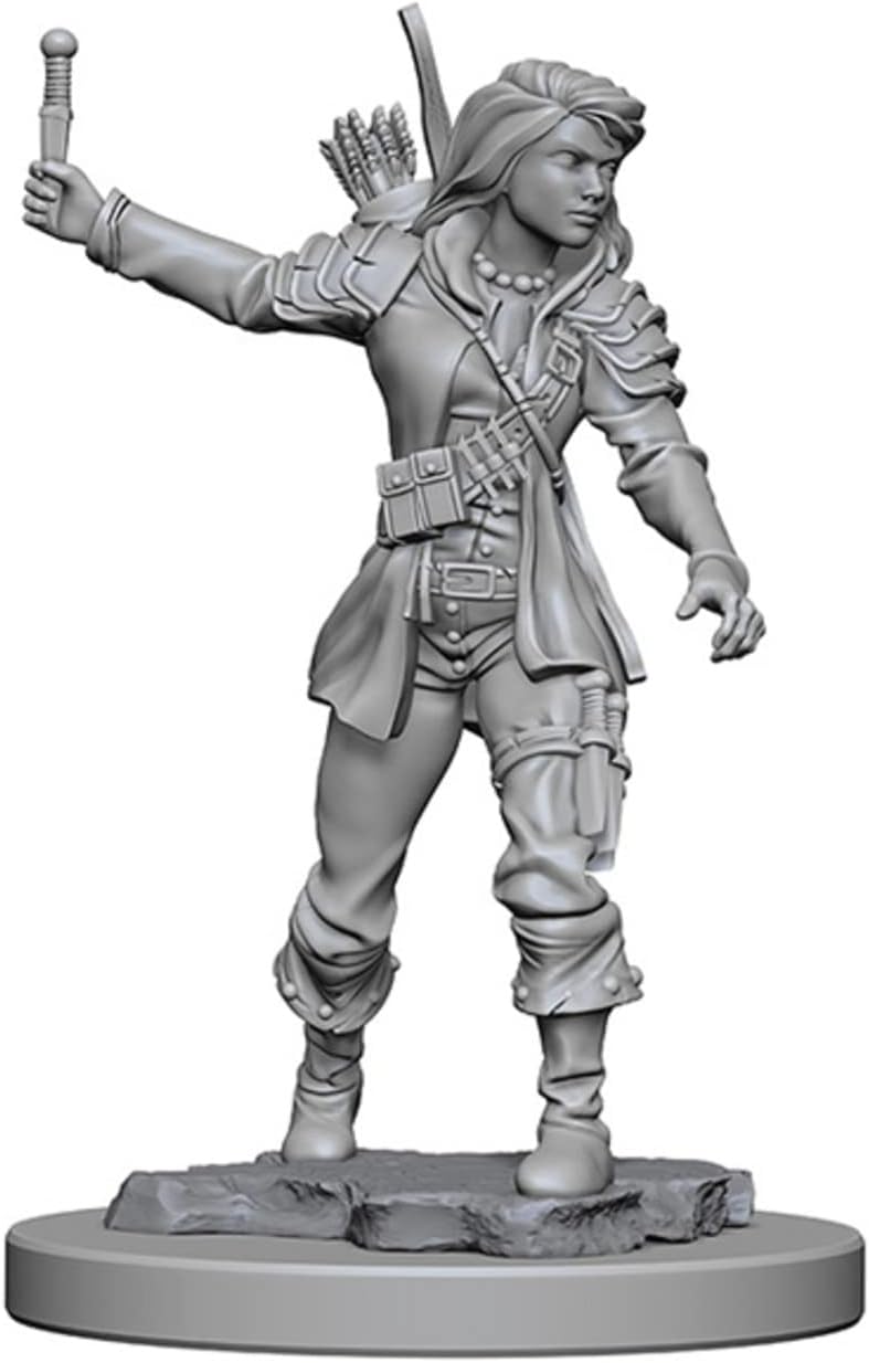 Pathfinder Deep Cuts Unpainted Miniatures: W01 Human Female Rogue