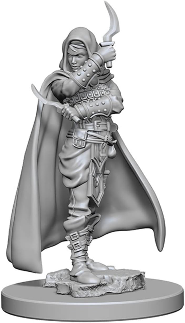 Pathfinder Deep Cuts Unpainted Miniatures: W01 Human Female Rogue