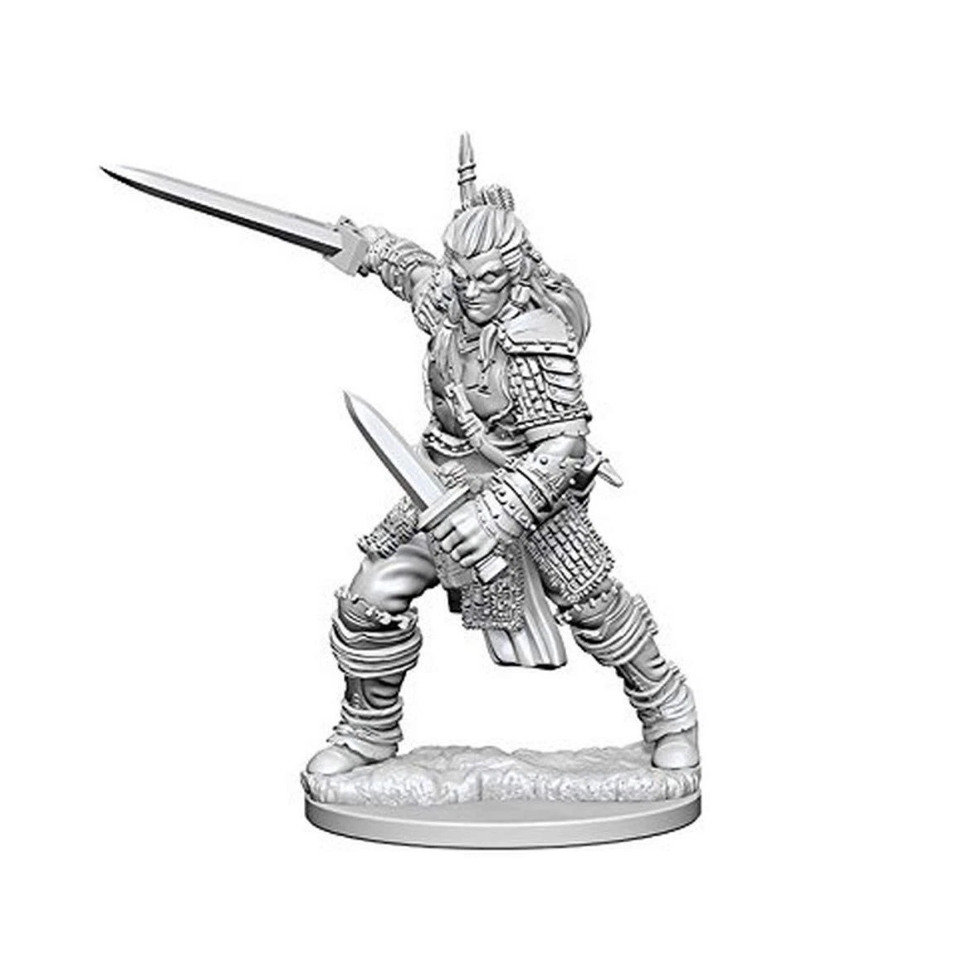 Pathfinder Deep Cuts Unpainted Miniatures: W01 Human Male Fighter