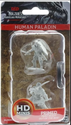 Unpainted Dungeons & Dragons Nolzur's Marvelous Miniatures featuring a primed human male paladin ready for painting.