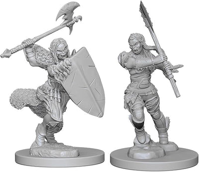 Pathfinder Deep Cuts Unpainted Miniatures: W01 Half-Orc Female Barbarian