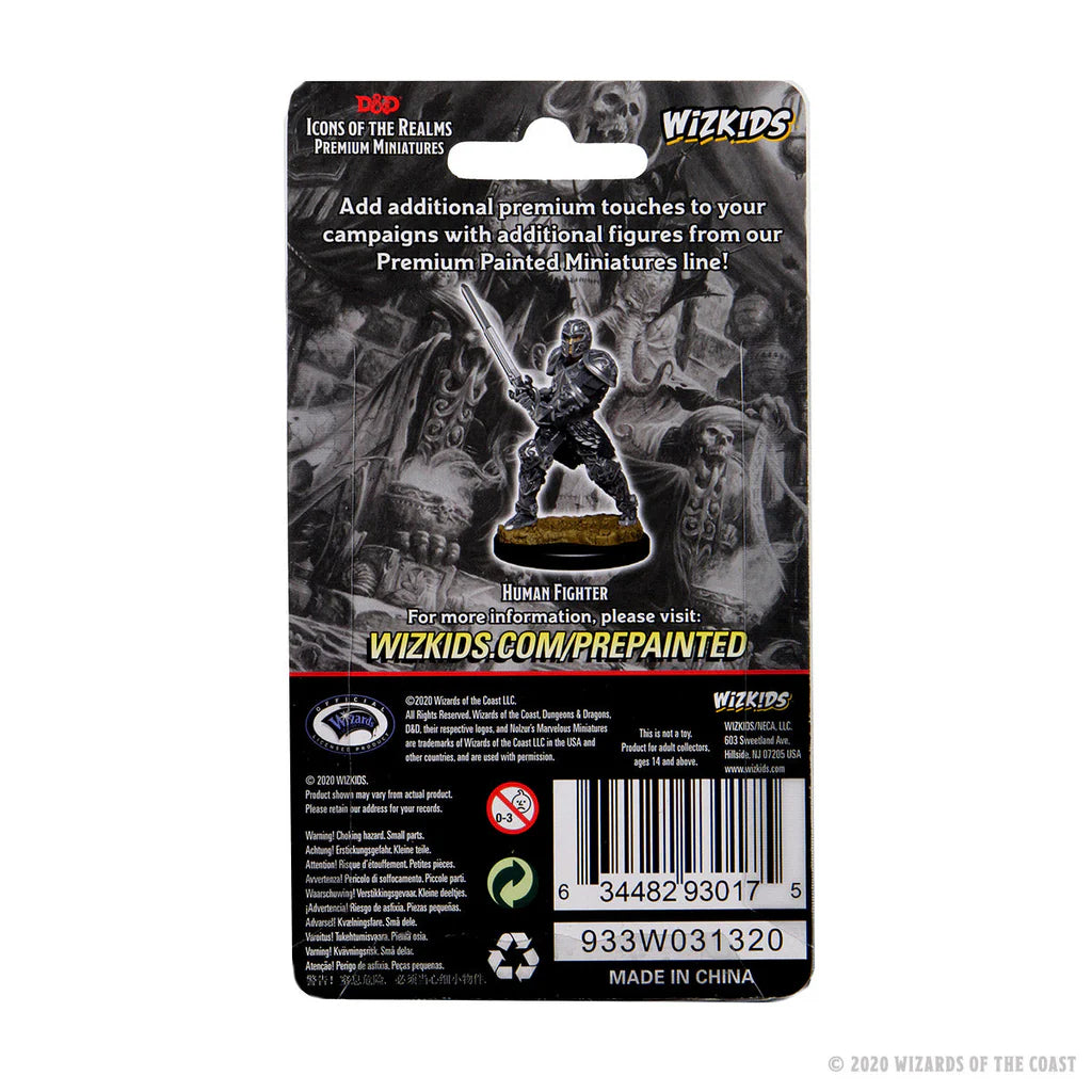 Back of the Dungeons & Dragons Icons of the Realms Premium Figures packaging featuring a Human Male Fighter miniature.