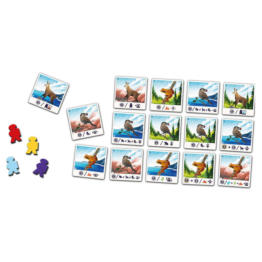 Colorful game cards featuring birds and landscapes, alongside player pieces in red, yellow, blue, and purple.
