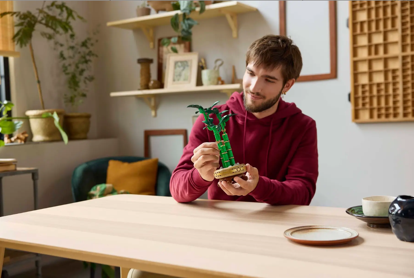 A person in a red hoodie builds the LEGO Lucky Bamboo (10344) on a wooden table in a cozy, plant-filled room.