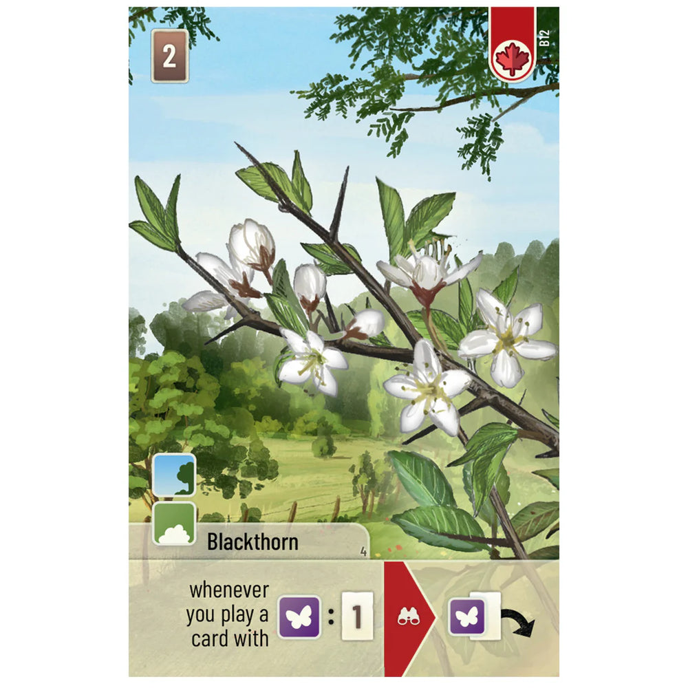 Forest Shuffle Woodland Edge Expansion card featuring Blackthorn flowers and gameplay instructions for card play.