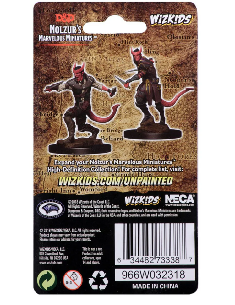 Unpainted Dungeons & Dragons Tiefling Male Rogue miniature, featuring detailed design and dual poses on packaging.