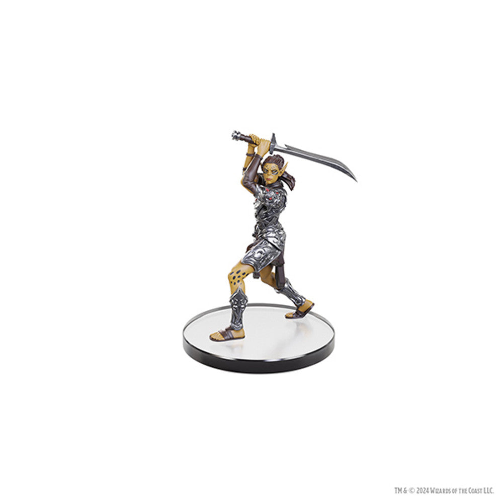 Detailed figure of a warrior from D&D Baldur's Gate 3, wielding a sword and wearing ornate armor, on a display base.