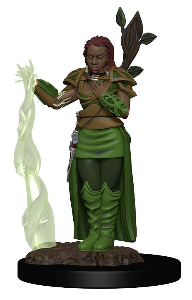 Dungeons & Dragons: Icons of the Realms Premium Figures Human Female Druid